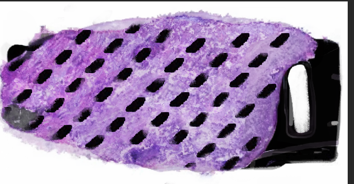 histology_pink